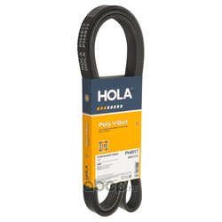 Hola PH4917