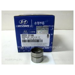 Hyundai-Kia 22231-37100