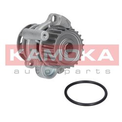 Kamoka T0033