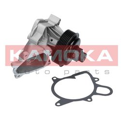 Kamoka T0060