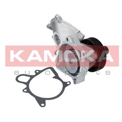 Kamoka T0063