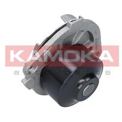 Kamoka T0113