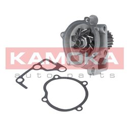 Kamoka T0170