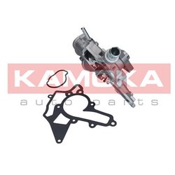 Kamoka T0226