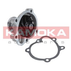 Kamoka T0233