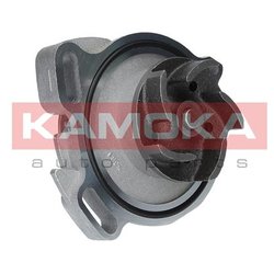 Kamoka T0275