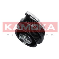 Kamoka T0278