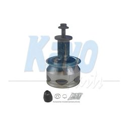 Kavo Parts CV-4523