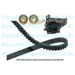 Kavo Parts DKW-9001