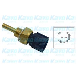 Kavo Parts ECT-6513