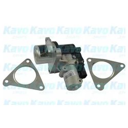 Kavo Parts EEG-3021