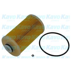 Kavo Parts HF8853