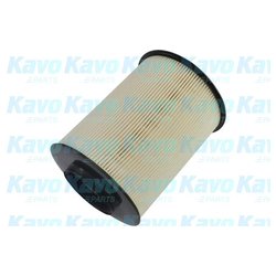 Kavo Parts MA5621