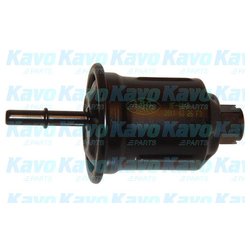 Kavo Parts MF4645