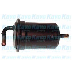 Kavo Parts MF5566