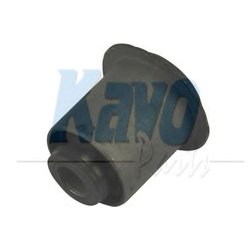 Kavo Parts SCR-2021