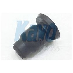 Kavo Parts SCR-4546