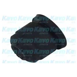 Kavo Parts SCR-6504