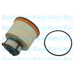 Kavo Parts TF1976