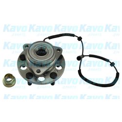 Kavo Parts WBH-7502