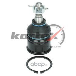 Kortex KBJ5108
