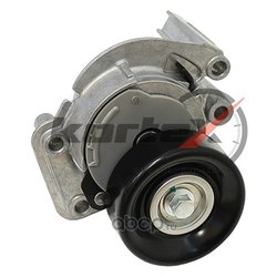 Kortex KTP2096