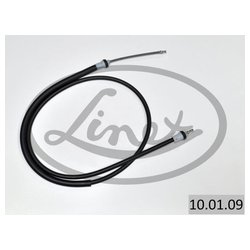 Linex 100109