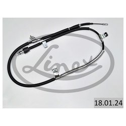 Linex 180124