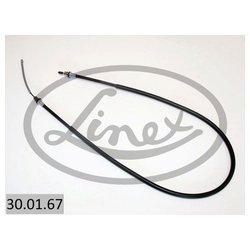 Linex 300167