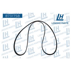 Longho 8731758