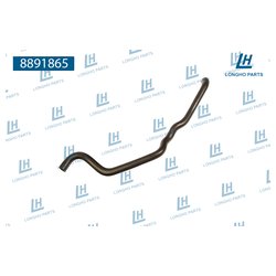 Longho 8891865