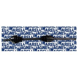 Magneti Marelli 302004190066