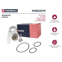 Marshall M4822019