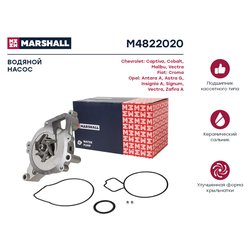 Marshall M4822020