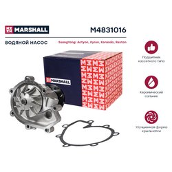 Marshall M4831016