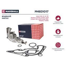 Marshall M4831017