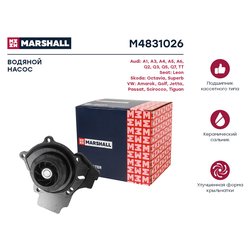Marshall M4831026