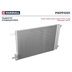 Marshall M4991051