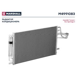 Marshall M4991083