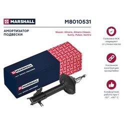 Marshall M8010531