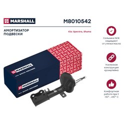 Marshall M8010542