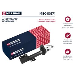 Marshall M8010571