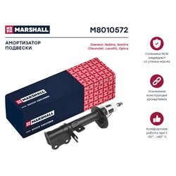 Marshall M8010572