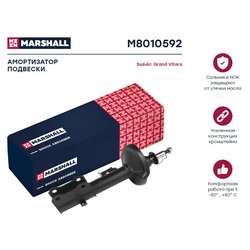 Marshall M8010592