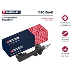 Marshall M8010641