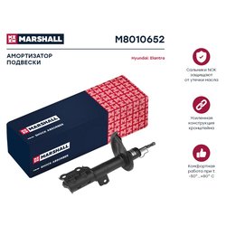 Marshall M8010652