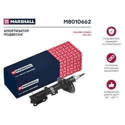 Marshall M8010662