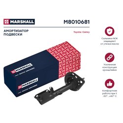 Marshall M8010681