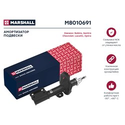 Marshall M8010691