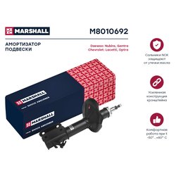 Marshall M8010692